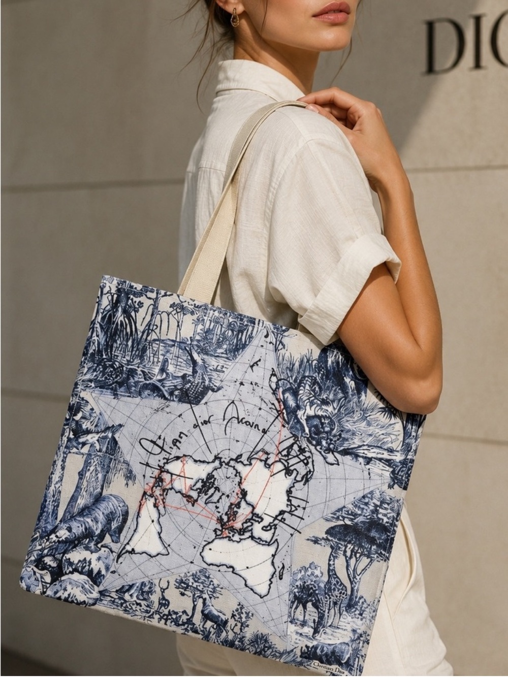 Dior Star Map Canvas Tote bag